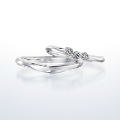 札幌のおすすめ結婚指輪ブランド銀座ダイヤモンドシライシのサンプル画像